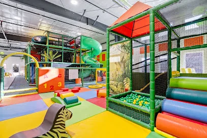 Wild Things Indoor Playground
