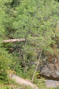 Chester Park