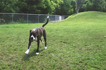 Keene Creek Park