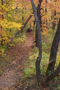 Lincoln Park