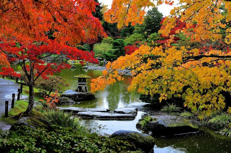 Arboretum Foundation