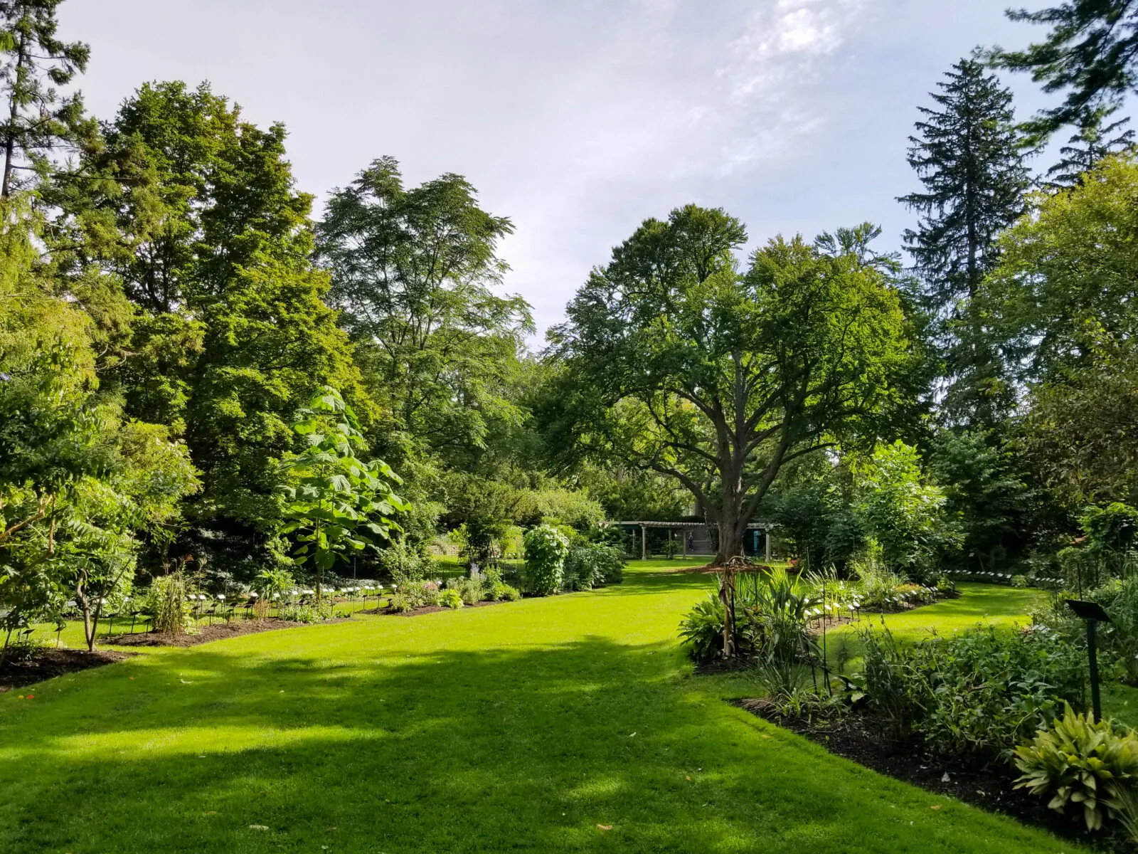 Beal Botanical Garden