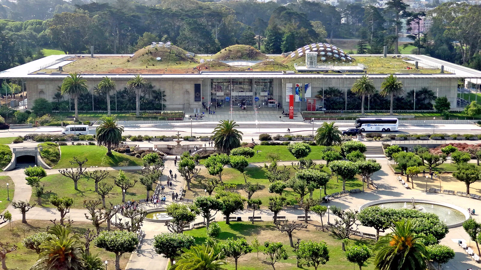 California Academy of Sciences
