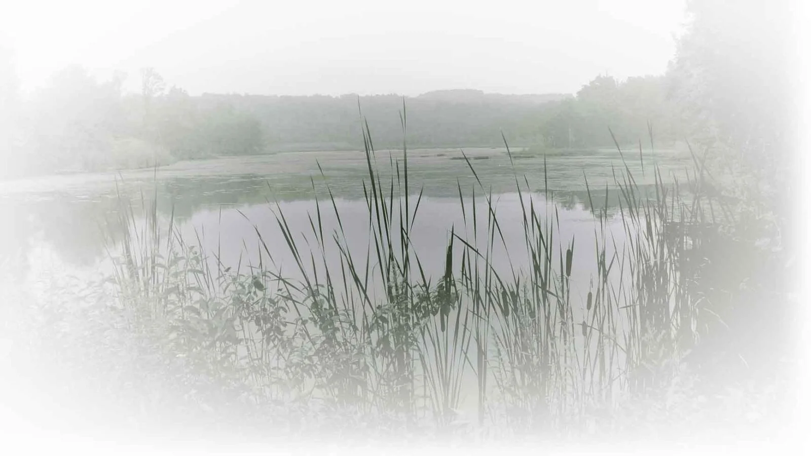Flanders Nature Center