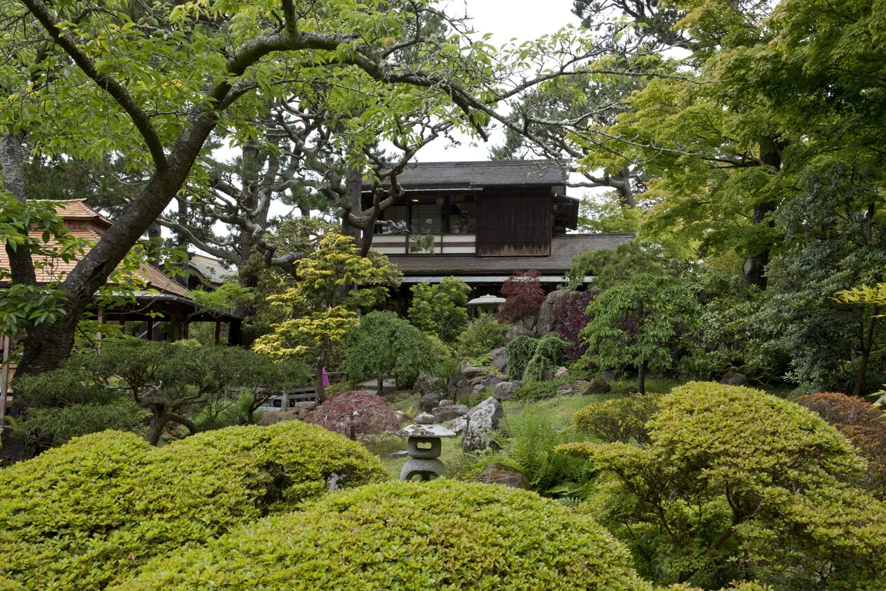 Gardens of Golden Gate Park – Japanese Tea Garden