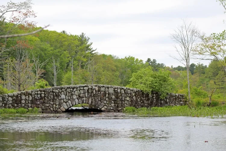 Ipswich River Wildlife Sanctuary