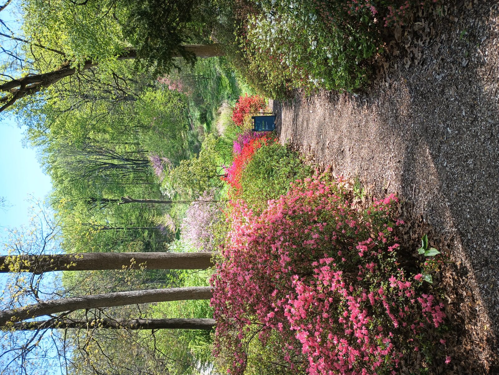 Jenkins Arboretum & Gardens