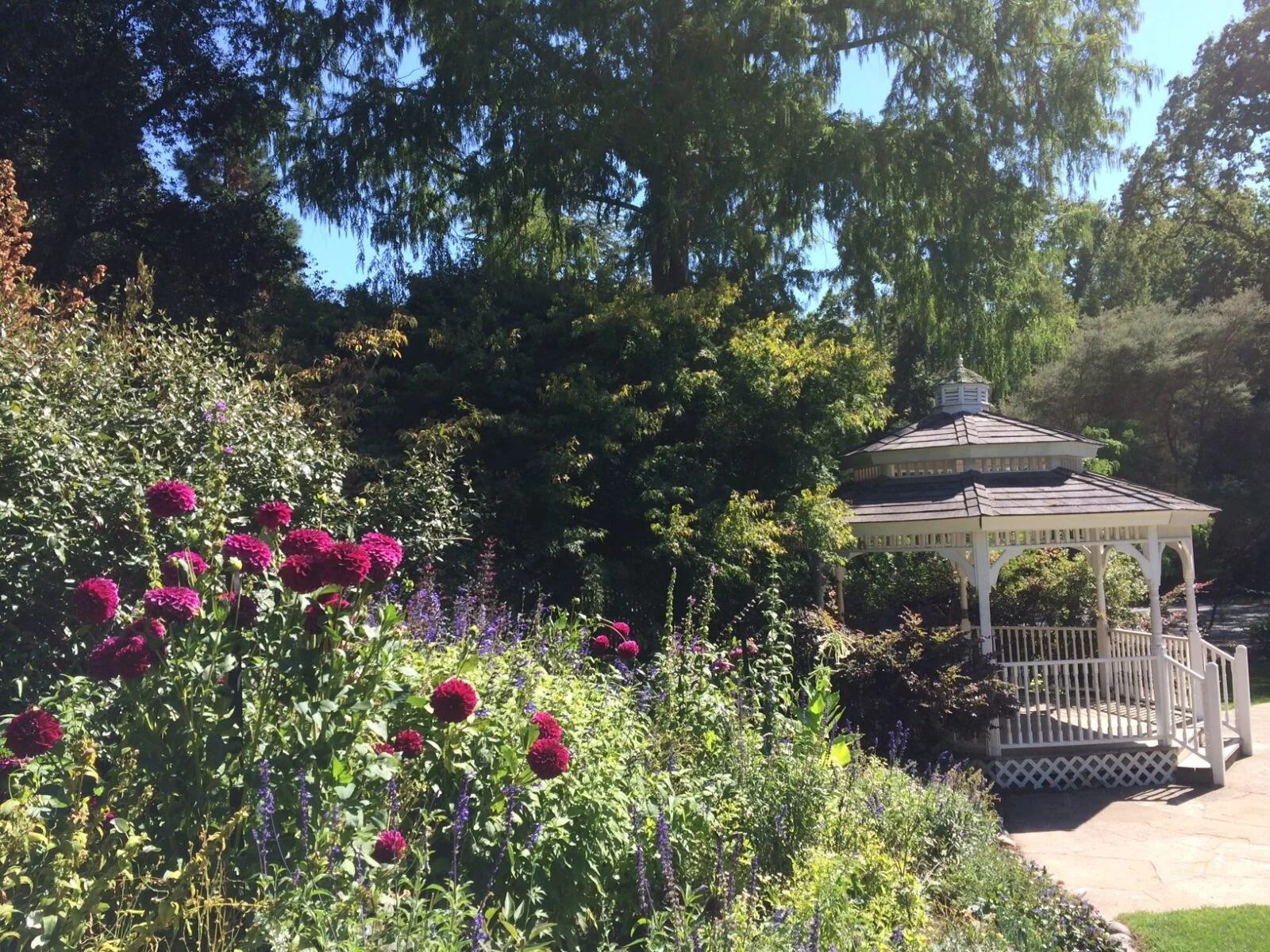 Marin Art and Garden Center