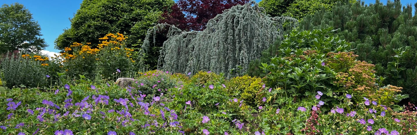 Massachusetts Horticultural Society’s Garden at Elm Bank