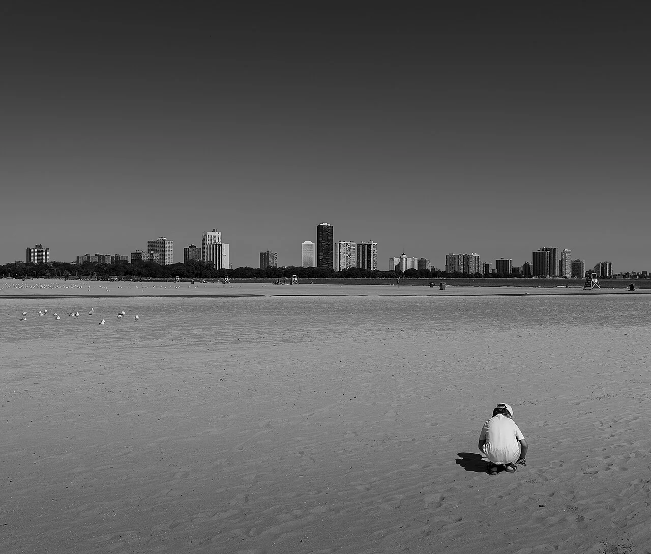 Montrose Beach