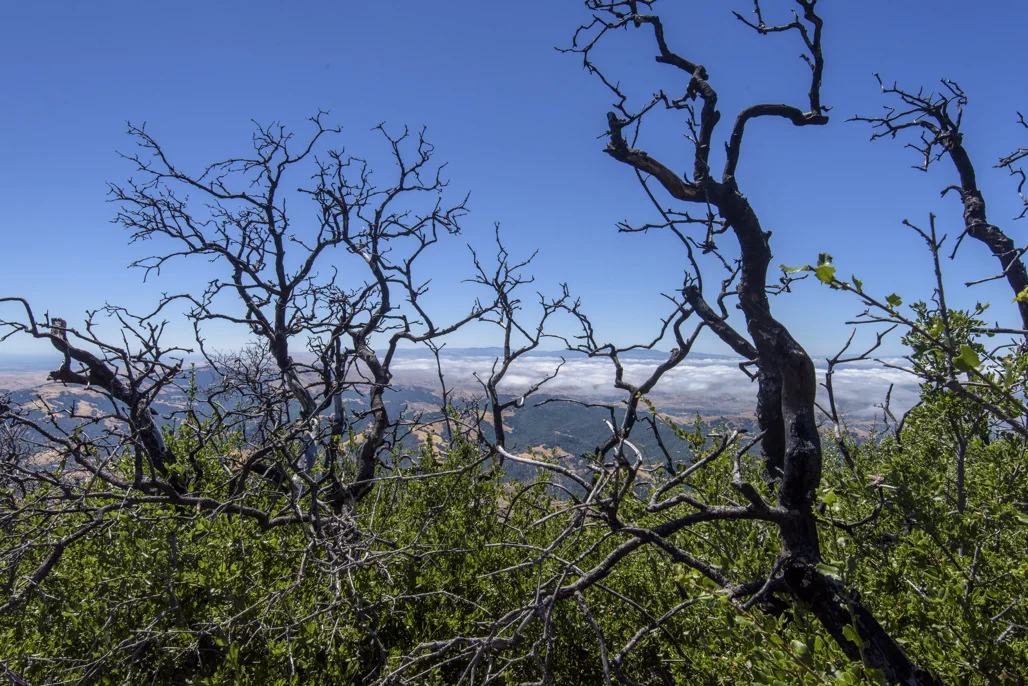 Mount Diablo State Park
