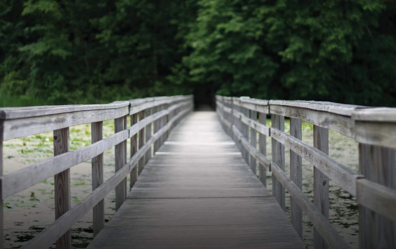 Outdoor Adventures Discovery Series at Teatown