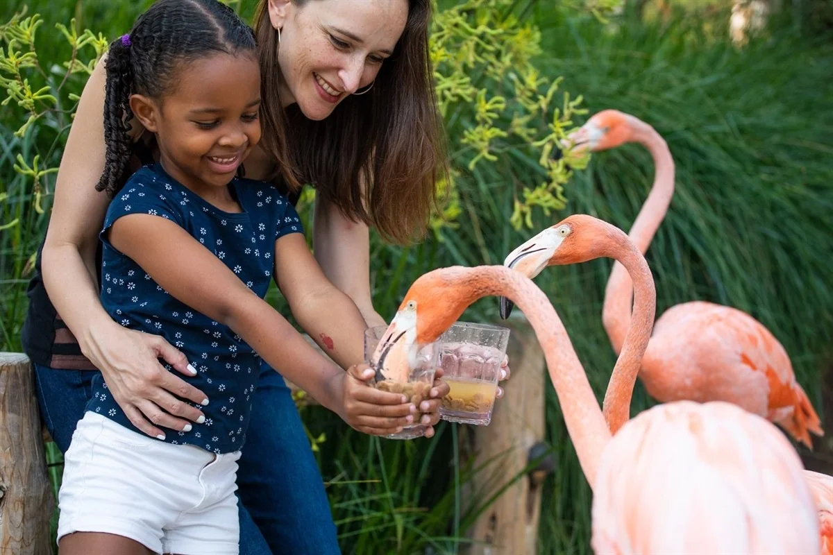 Palo Alto Junior Museum and Zoo