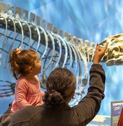Perot Museum of Nature and Science