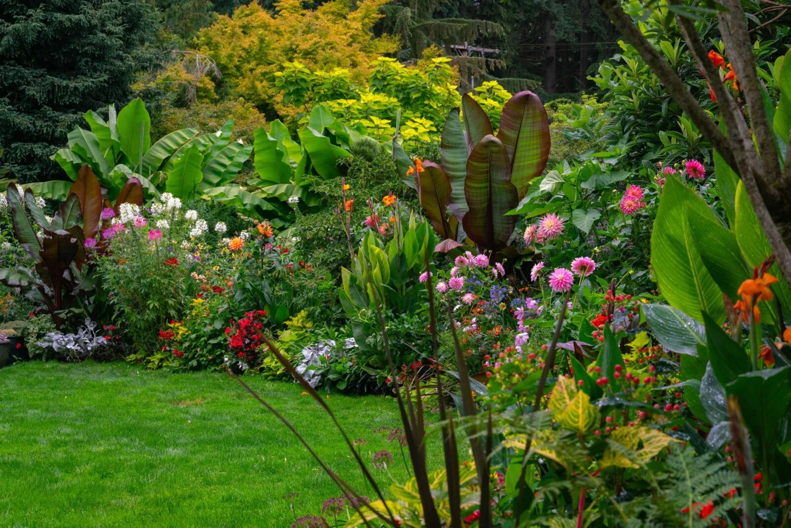 PowellsWood Garden