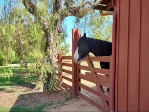 Rancho Los Alamitos Historic Ranch & Gardens