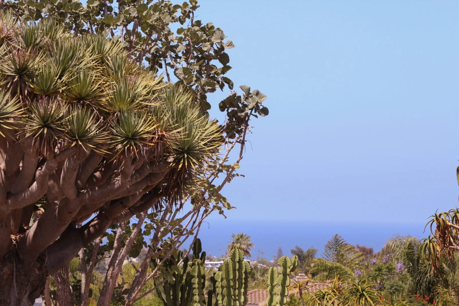 San Diego Botanic Garden