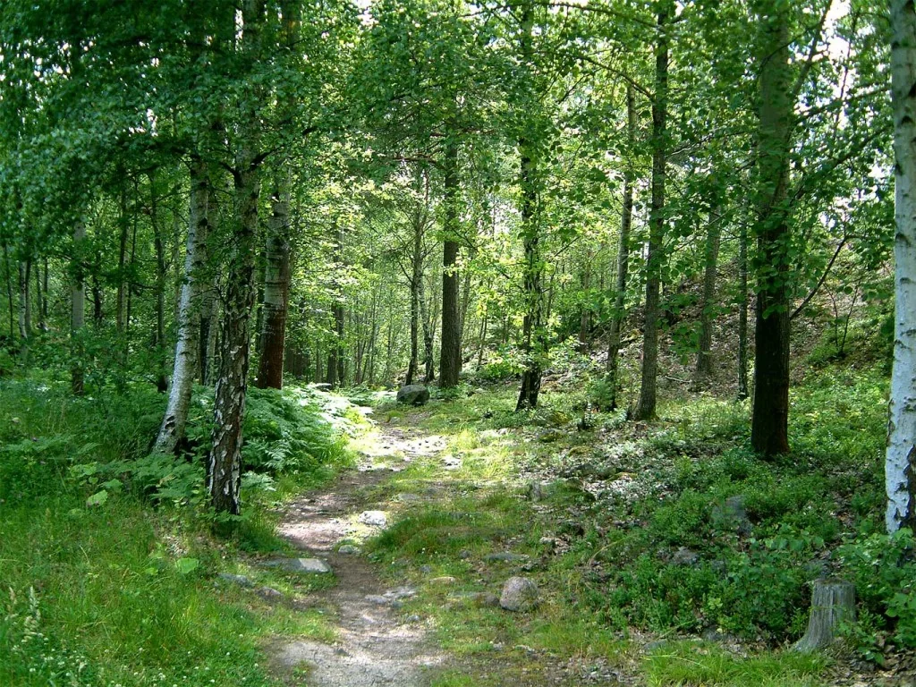 Sands Point Preserve