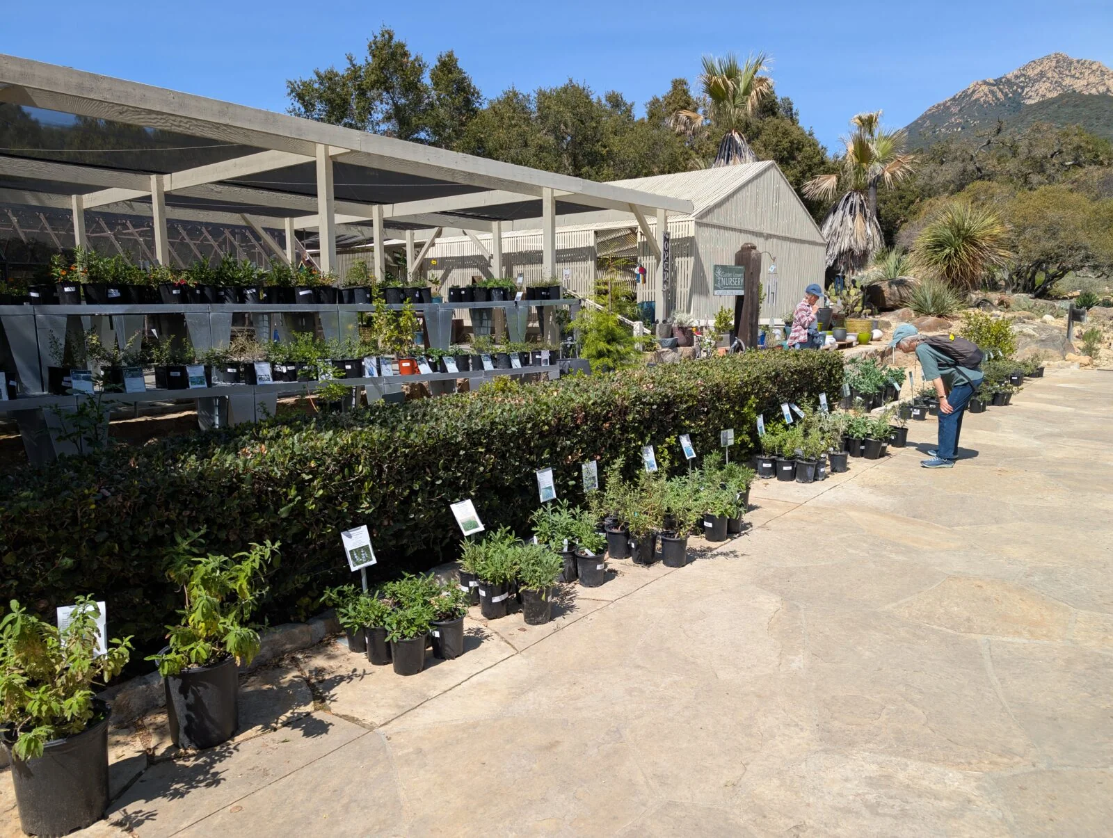 Santa Barbara Botanic Garden