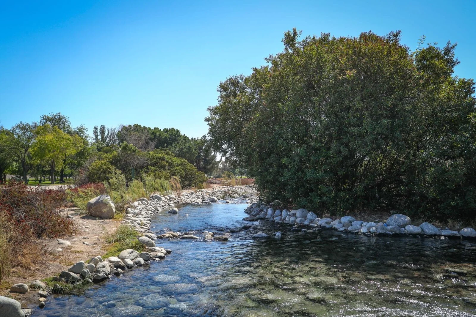 Santa Fe Dam Recreation Area