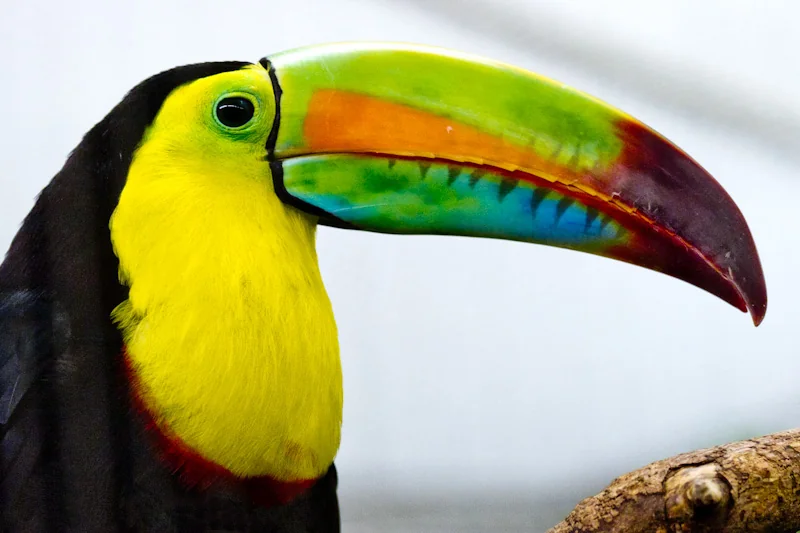 Smithsonian National Zoological Park