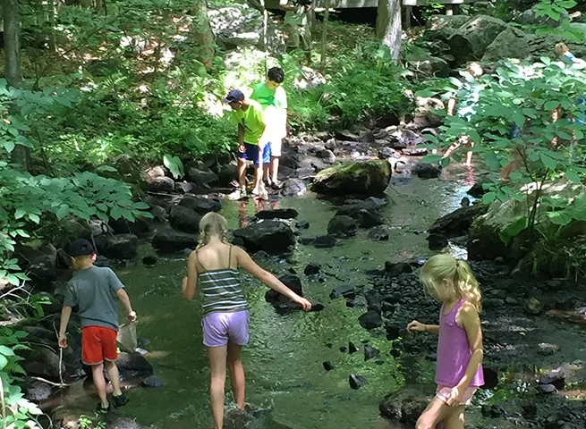 Stamford Museum & Nature Center