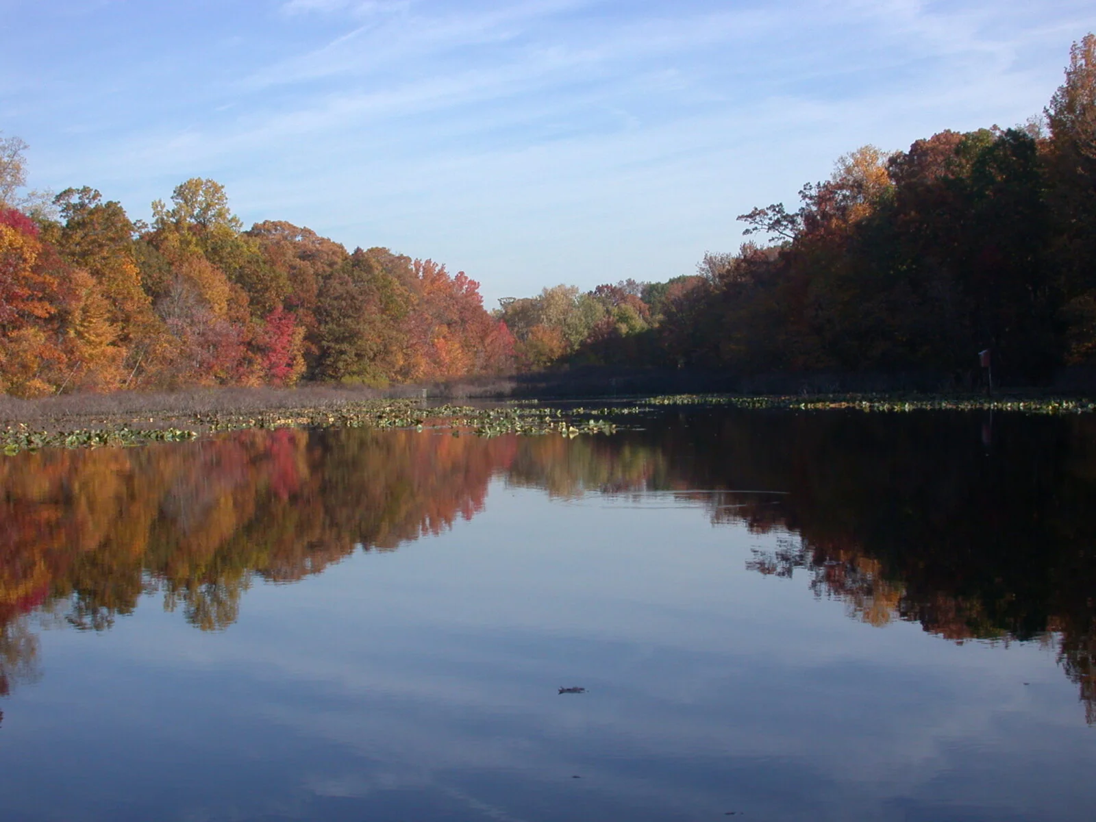 Tenafly Nature Center