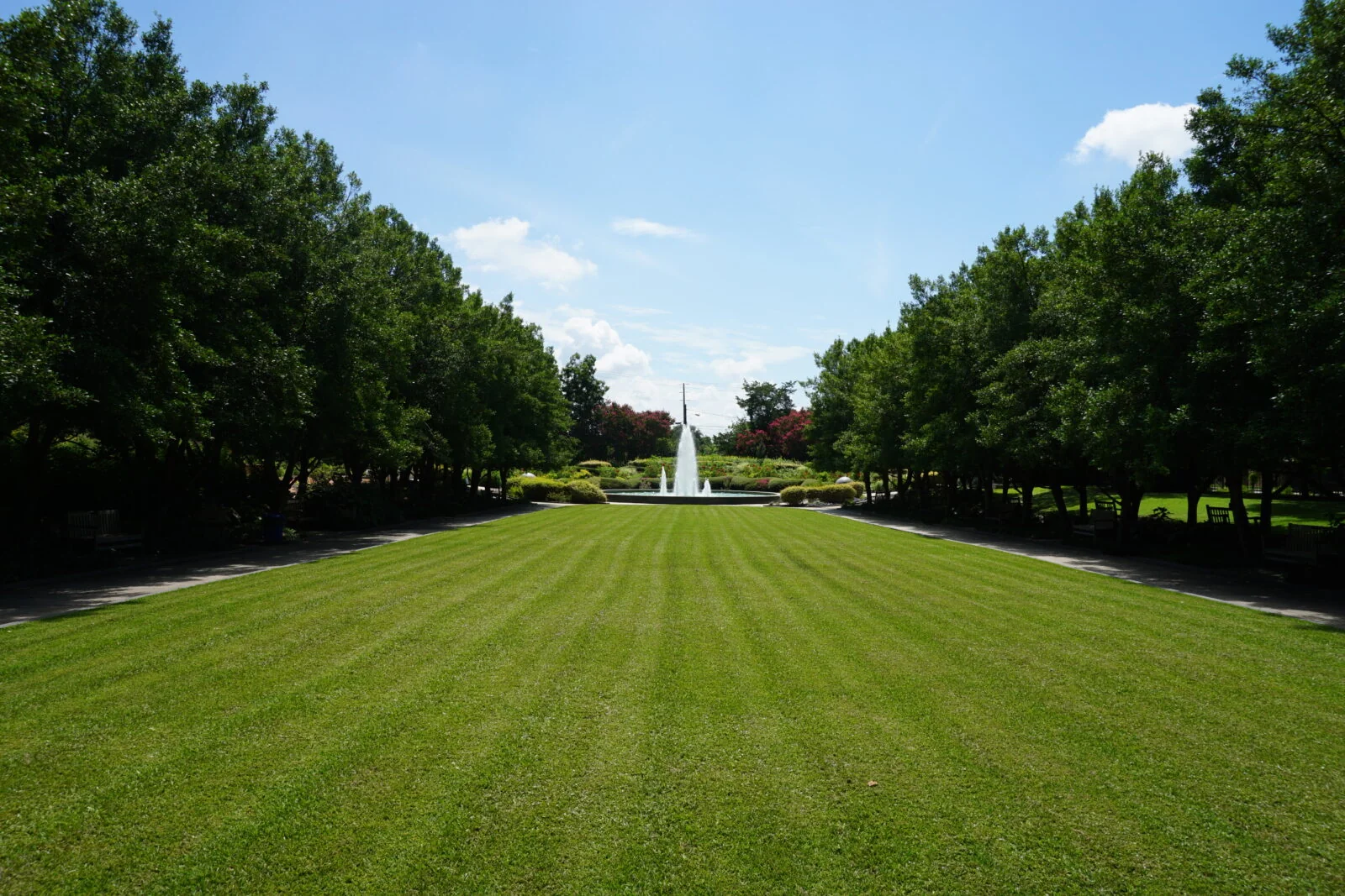 Texas Discovery Gardens