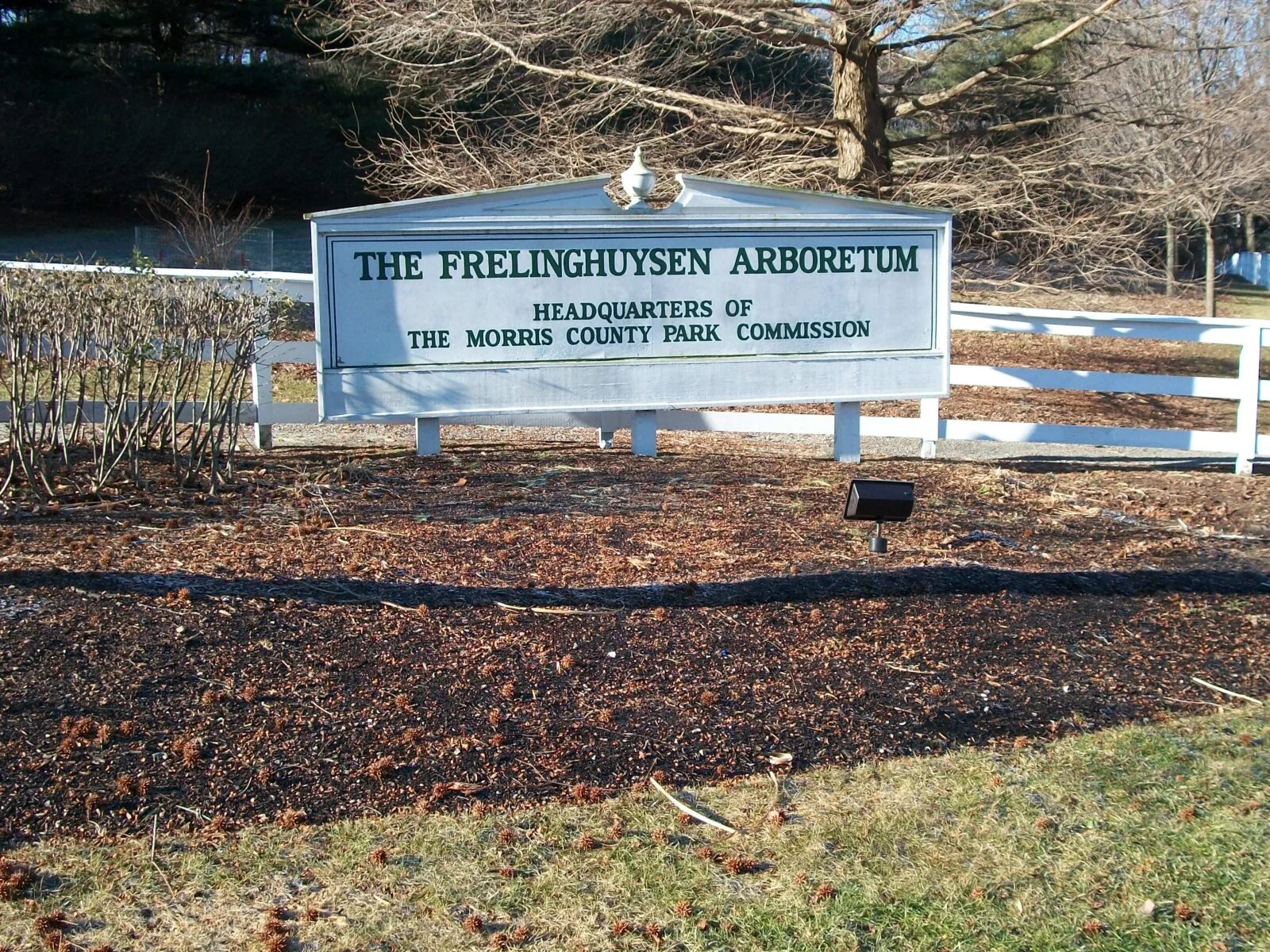 The Frelinghuysen Arboretum