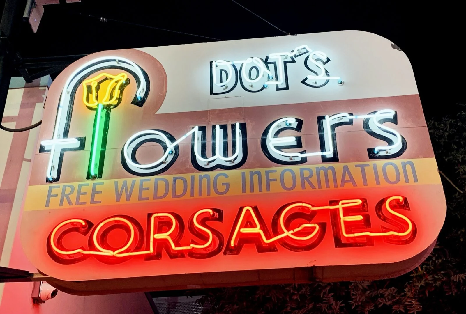 The Neon Museum