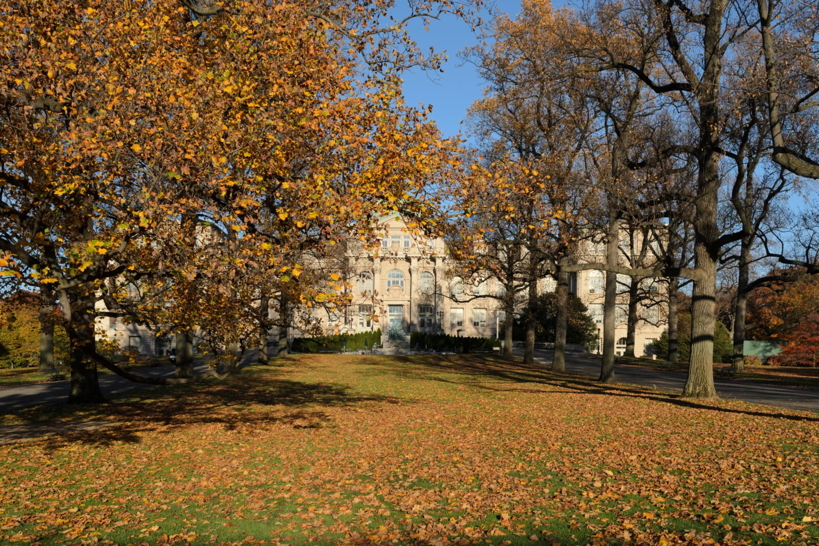 The New York Botanical Garden