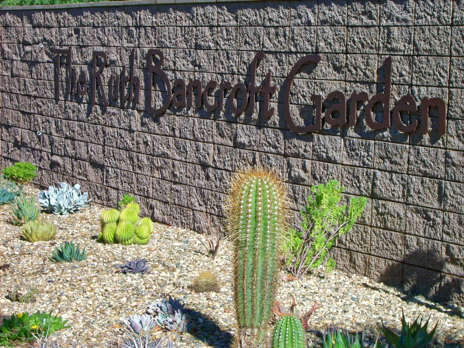 The Ruth Bancroft Garden