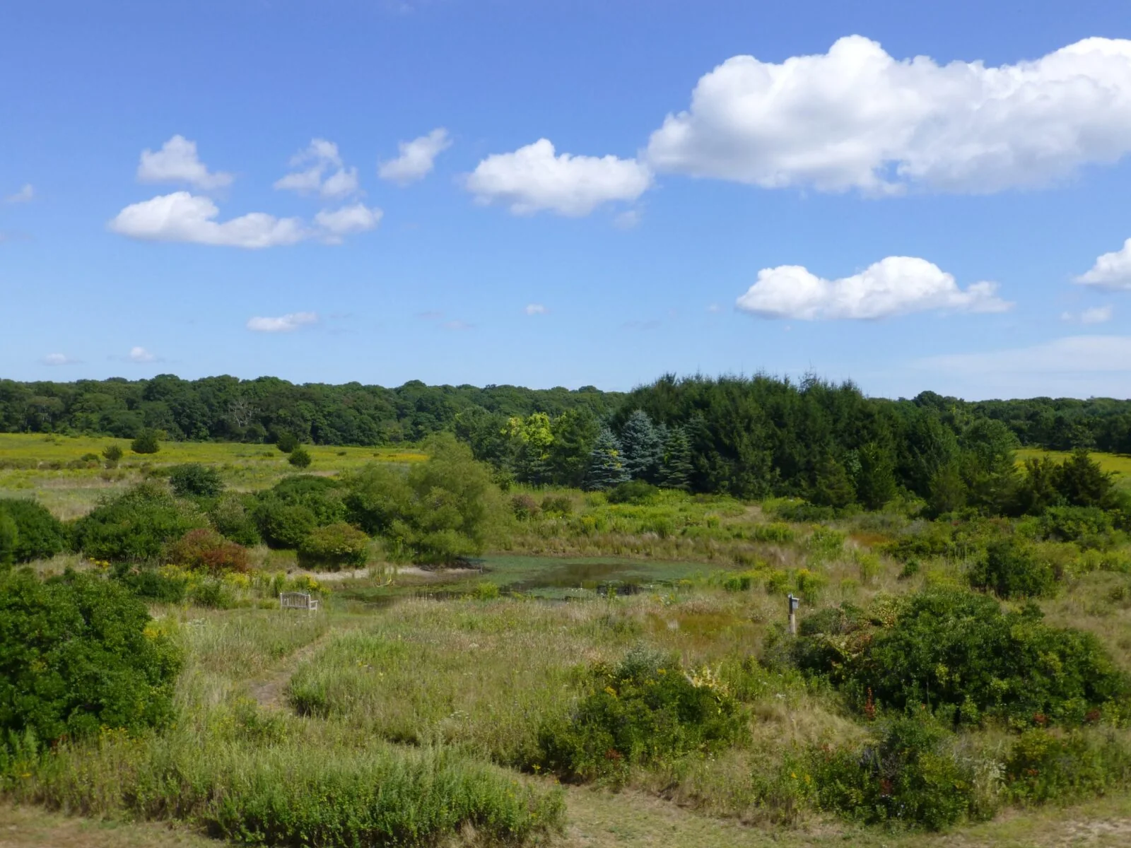 The South Fork Natural History Museum and Nature Center