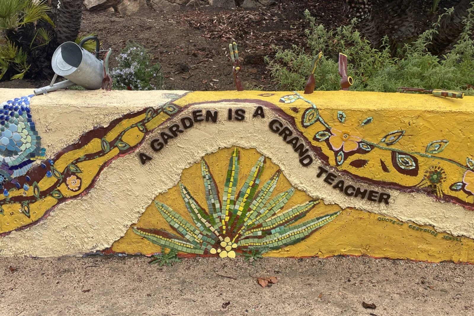 The Water Conservation Garden