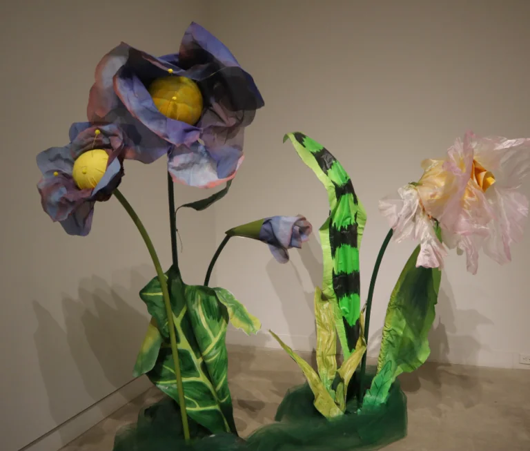 Verge Center for the Arts