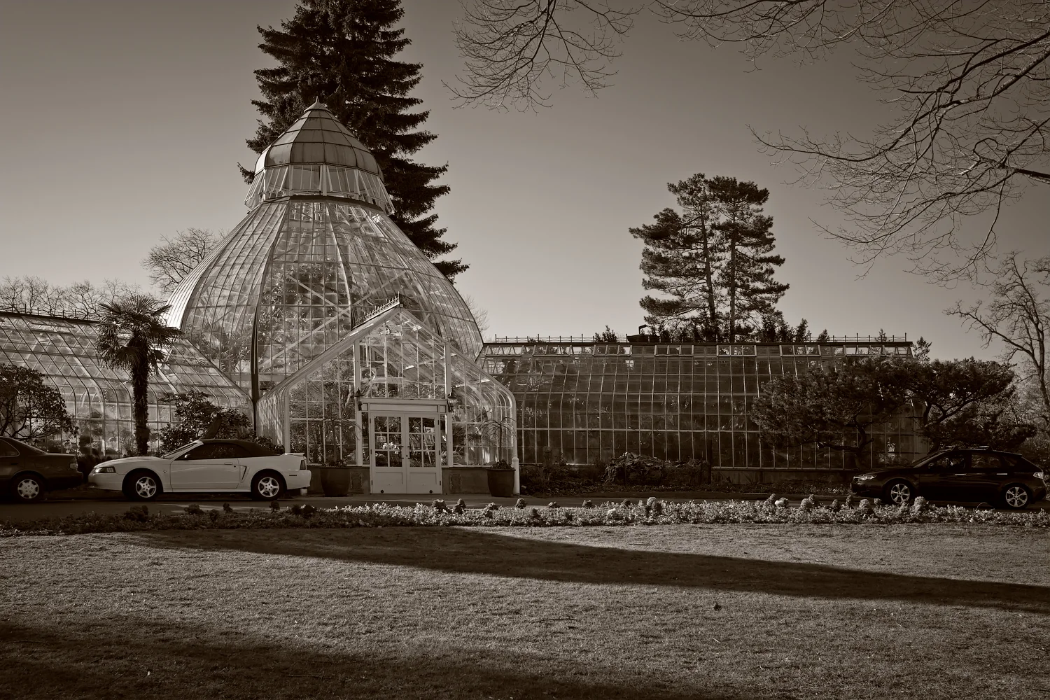 W.W. Seymour Botanical Conservatory