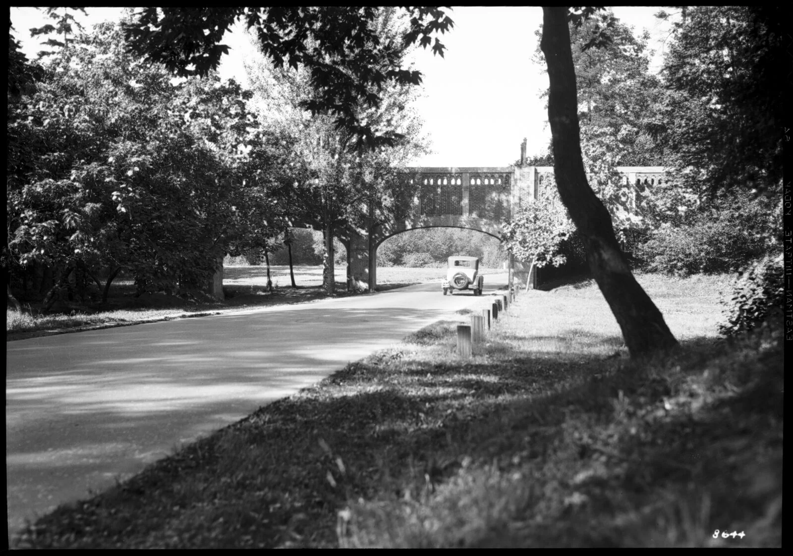 Washington Park Arboretum
