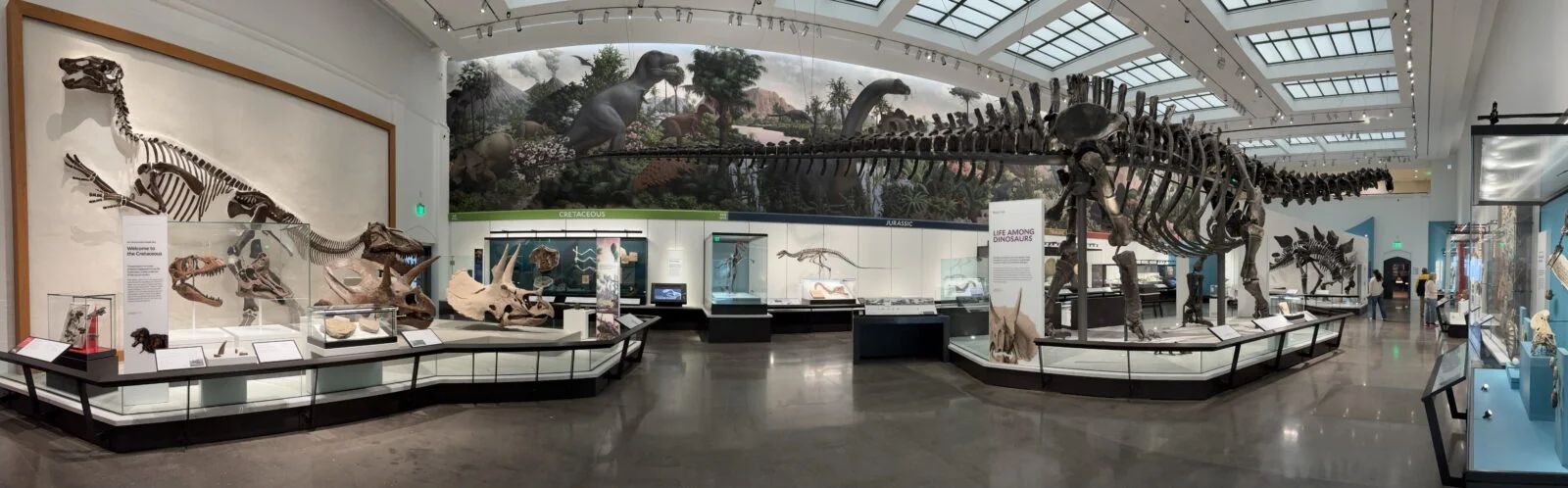 Yale Peabody Museum