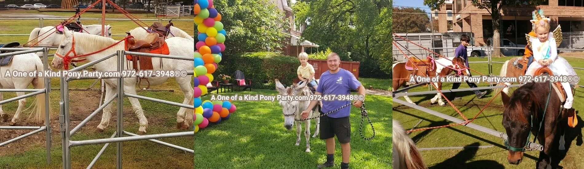 A One of A Kind Pony Party