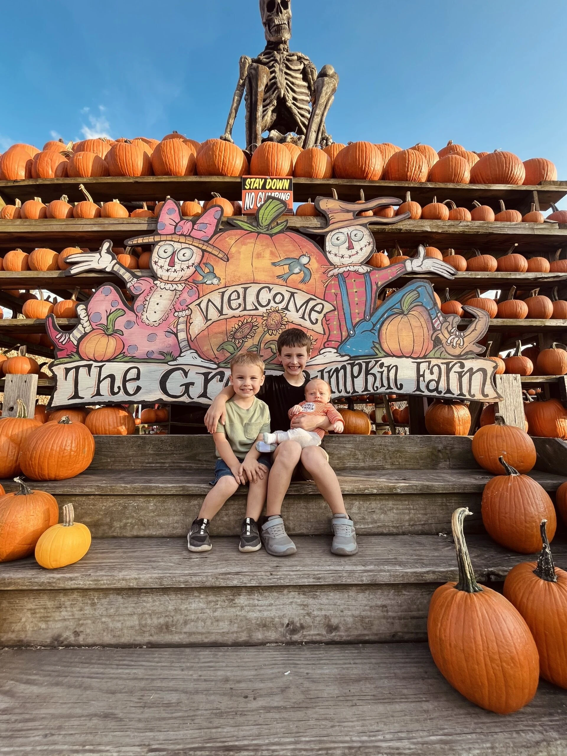 Great Pumpkin Farm