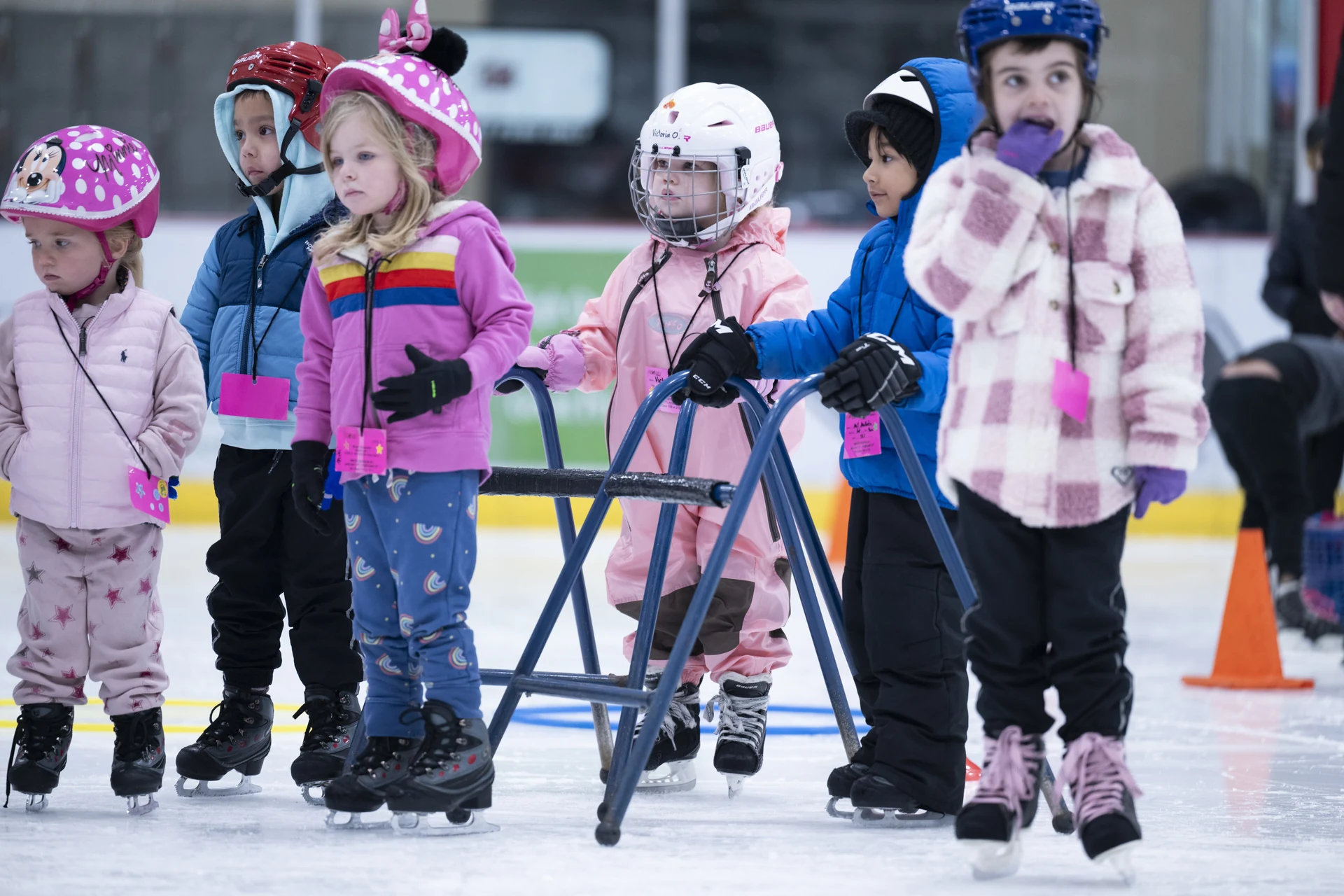 Ice Den Scottsdale