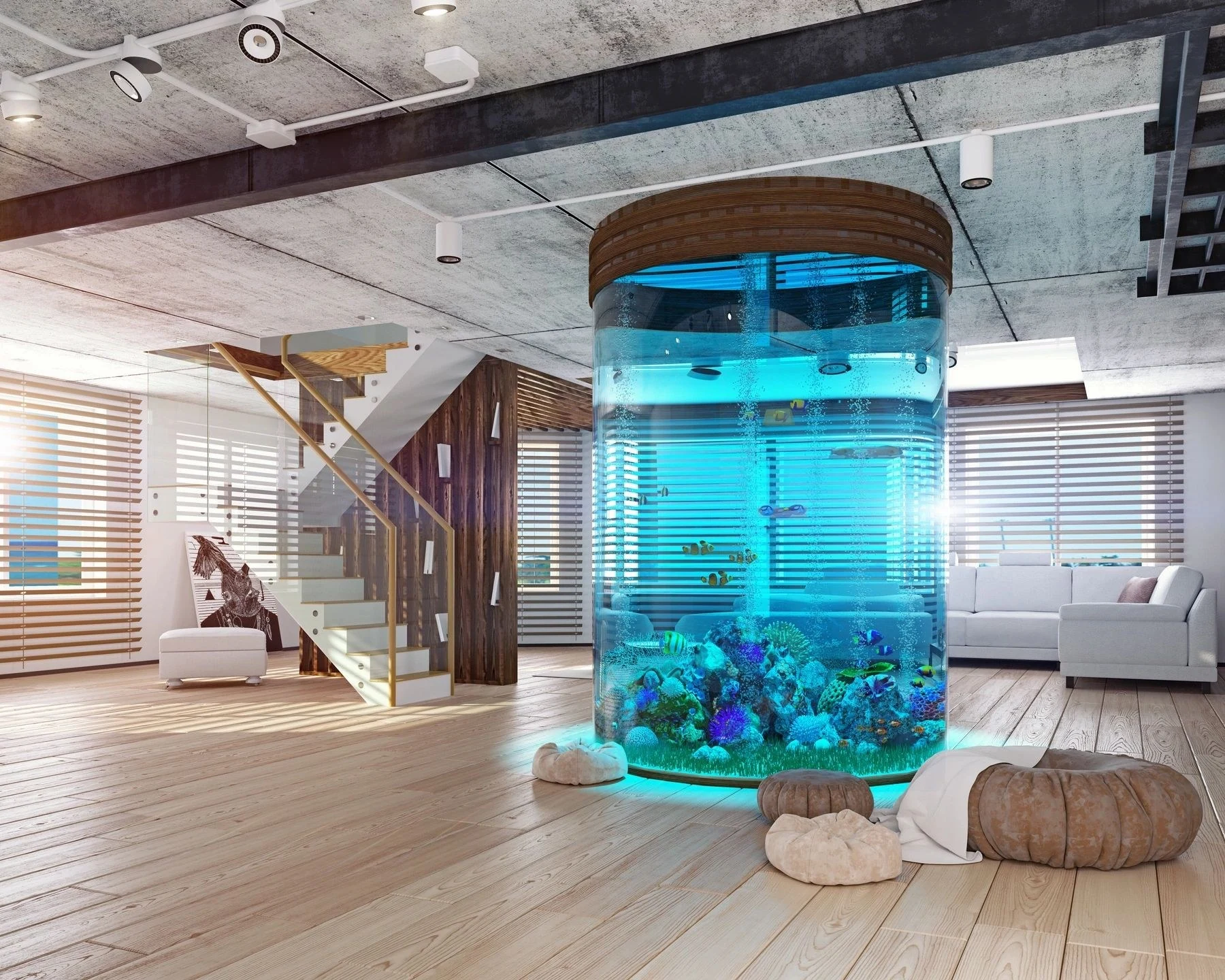 Innovative Aquatics