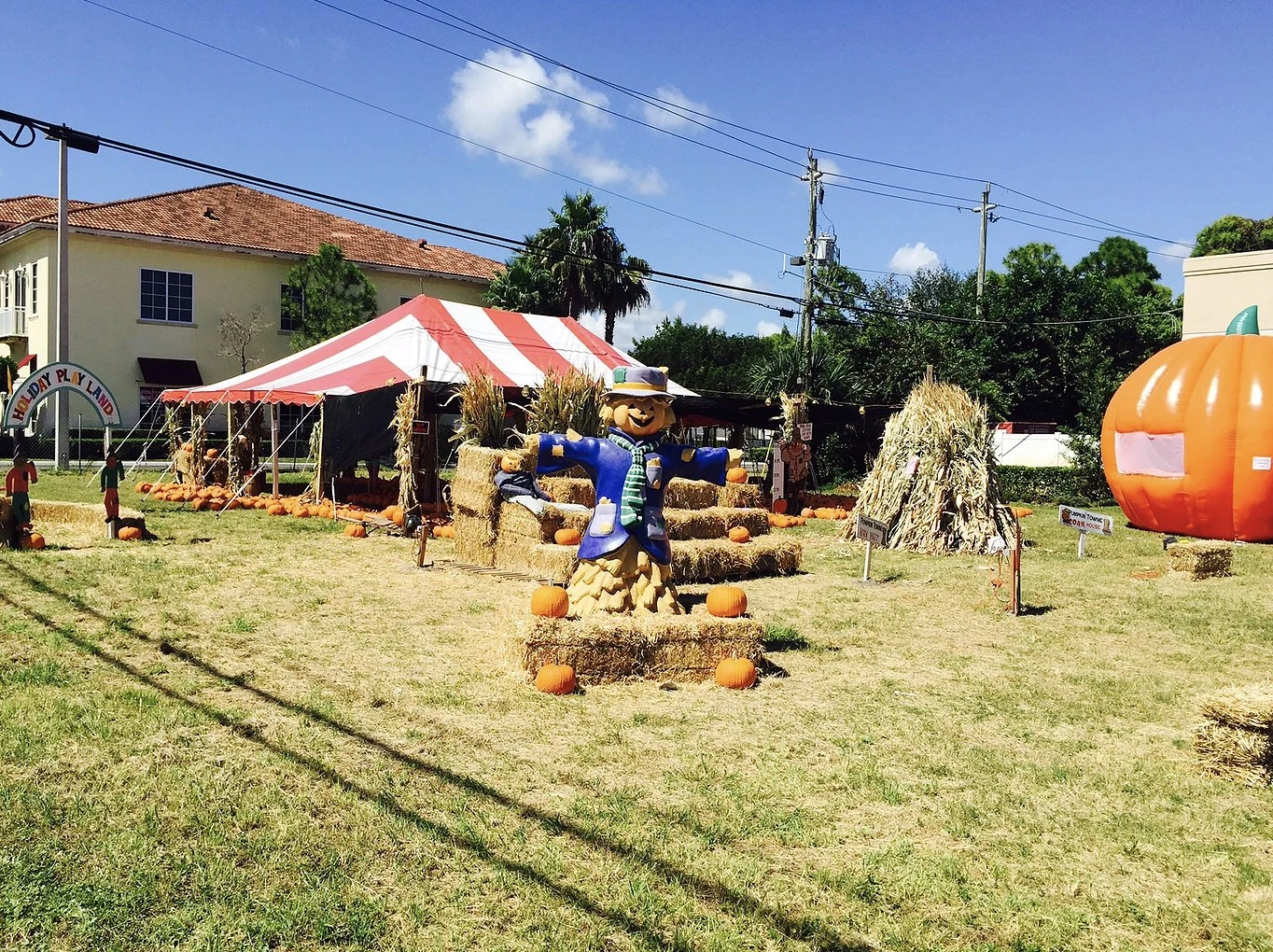 Pumpkin Towne Pumpkin Patches