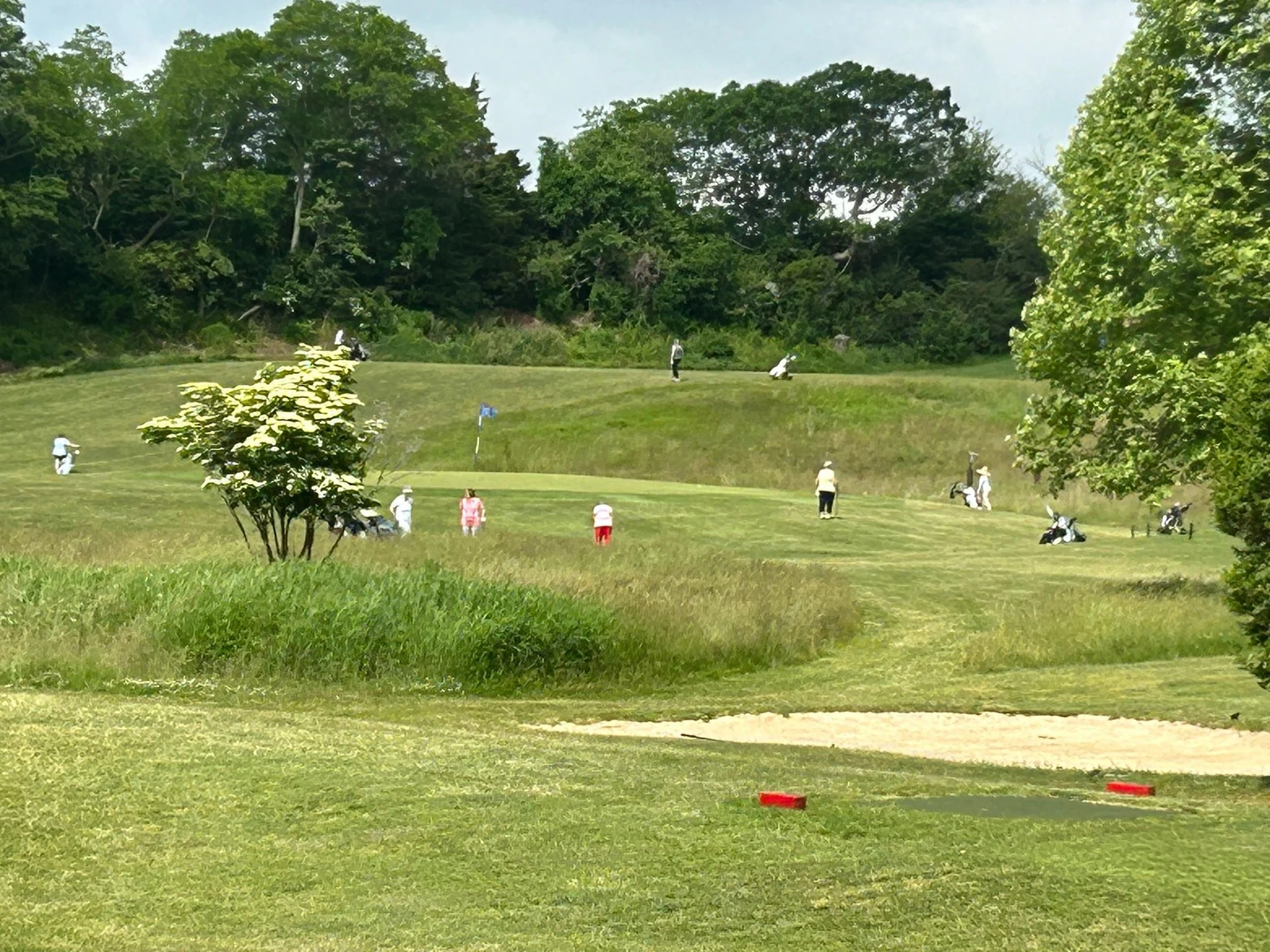 Sandy Pond Links