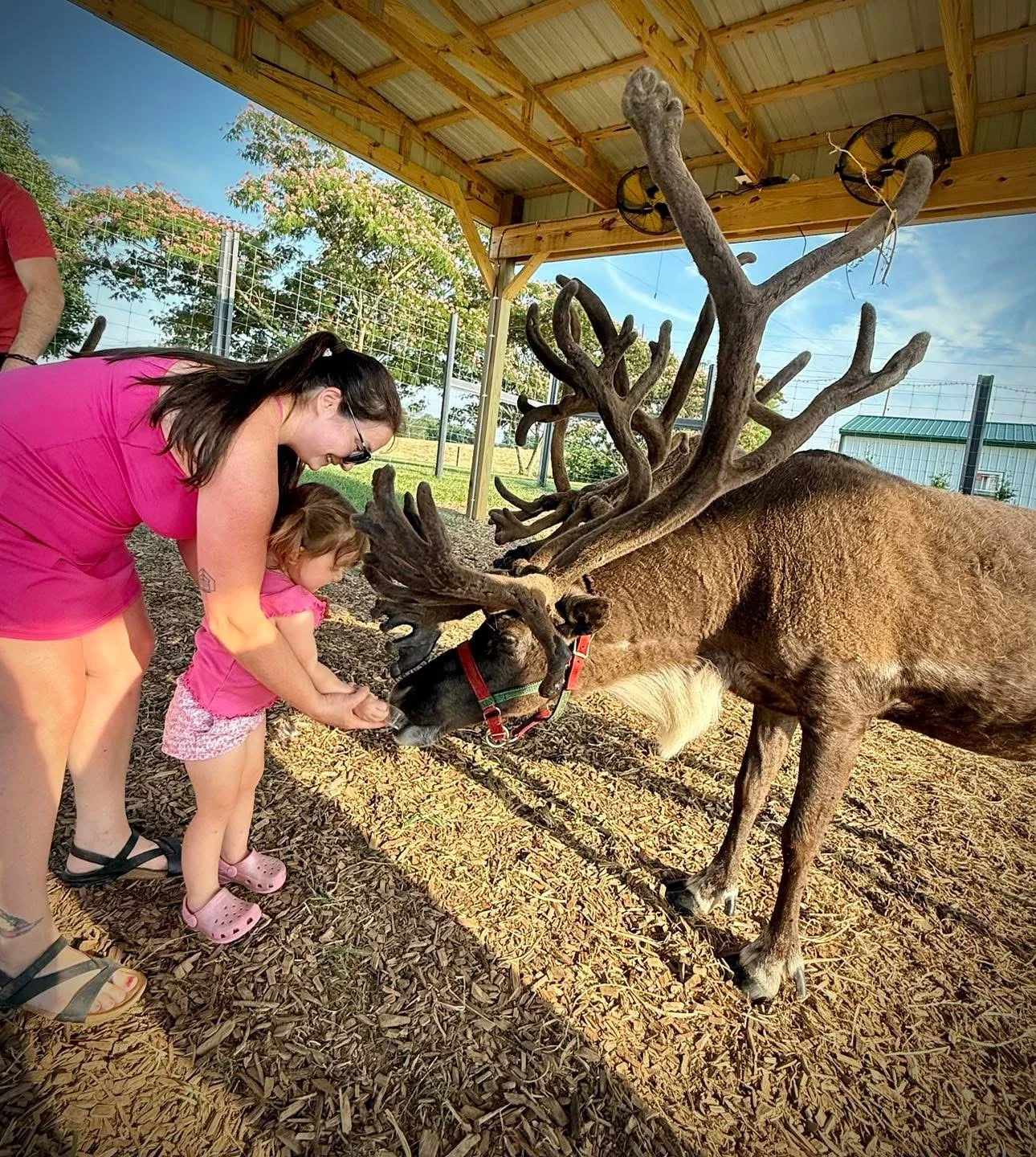 Santa’s Reindeer Ranch