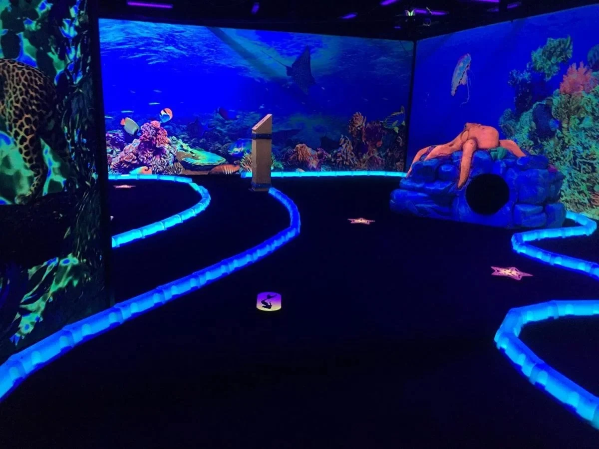 Shankz Mini Golf and VR