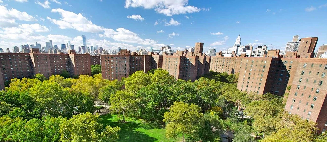 Stuytown Ice Rink