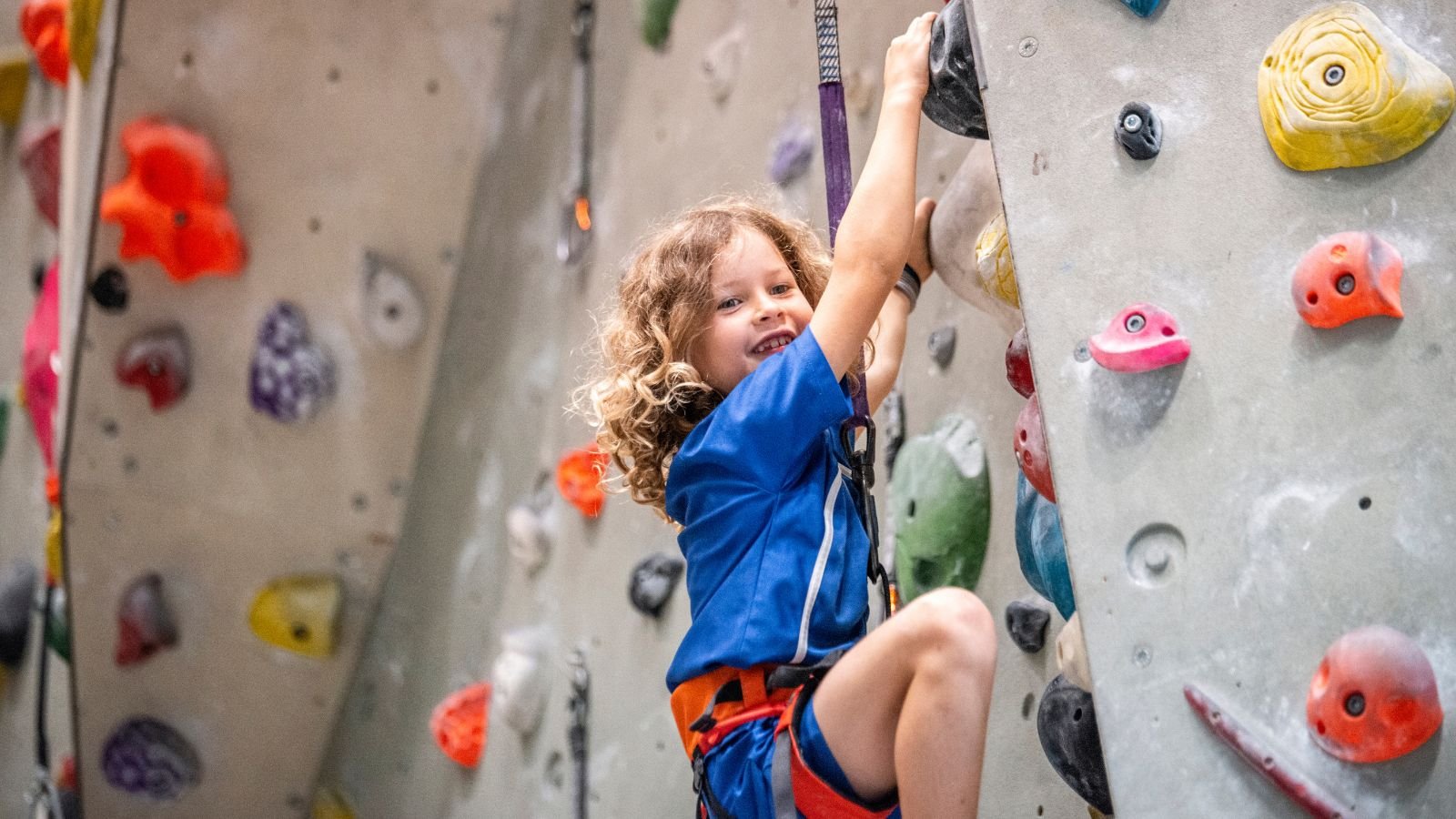 Climbing & Adventure Parks in Seattle, WA