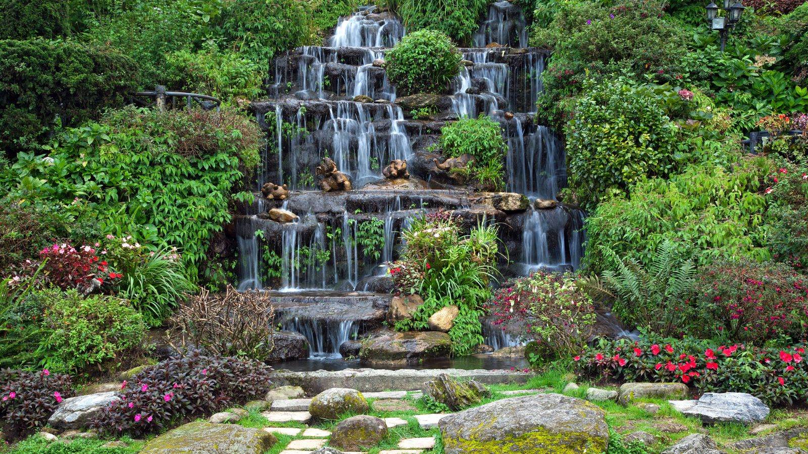 Nature & Gardens in Tampa, FL