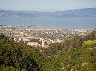 Arcadess in East Bay, CA